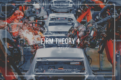 D1 - Firm Theory 1 (D1)