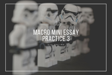 S4 - Macro Mini Essay Practice (S4)