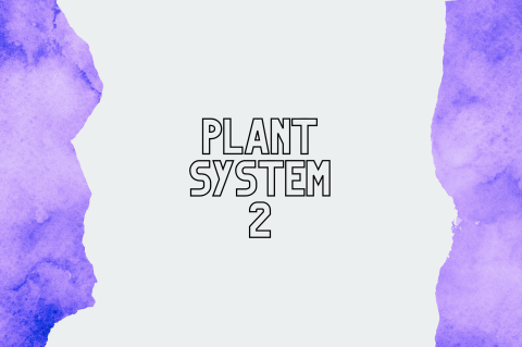 4A2 - Plant System 2 (S4A2)