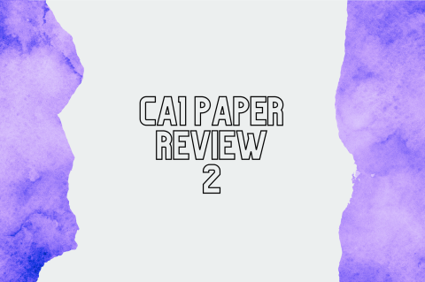 4A10 - CA1 Paper Review 2 (S4A10)