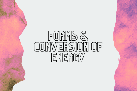 6A3 - Forms & Conversion of Energy (S6A3)