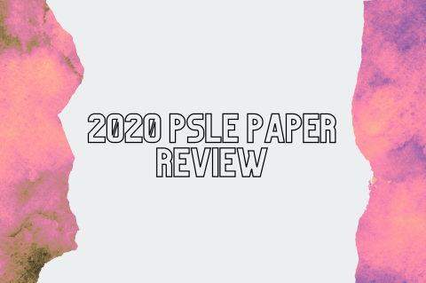 6A10 - 2020 PSLE Paper Review (S6A10)