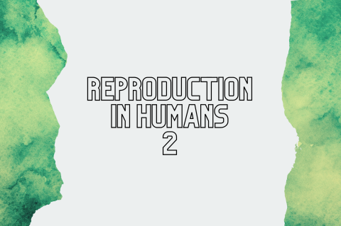 5A2 - Reproduction In Humans 2 (S5A2)