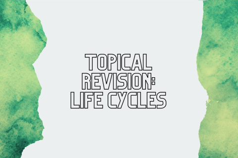 5A5 - Revision: Life Cycles (S5A5)