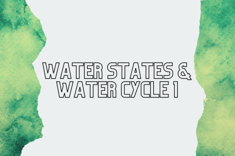 5A6 - Water States & Water Cycle 1 (S5A6)
