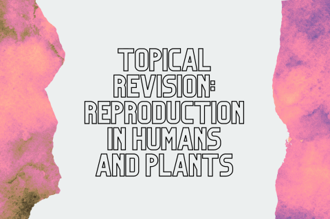 6B2 - Revision: Reproduction in Humans & Plants (S6B2)