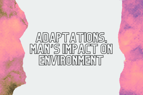 6B3 - Adaptations, Man's Impact (S6B3)