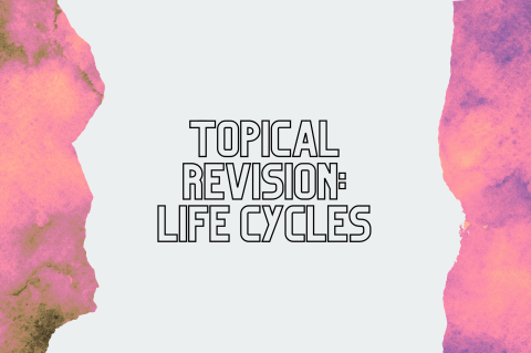 6B4 - Revision: Life Cycles (S6B4)