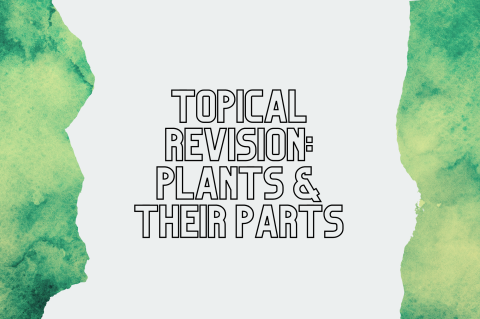 5B5 - Topical Revision: Plants & Their Parts (S5B5)