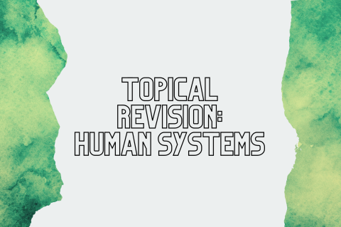 5C3 - Topical Revision: Human Systems (S5C3)