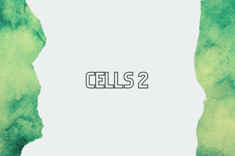 5C5 - Cells 2 (S5C5)