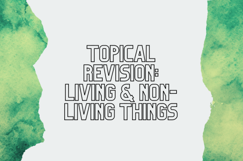 5C6 - Topical Revision: Living & Non-Living Things (S5C6)
