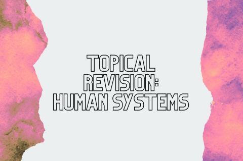 6C2 - Revision: Human Systems (S6C2)