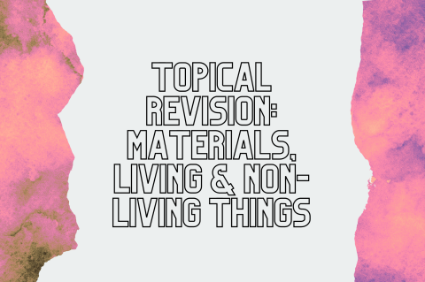 6C5 - Revision: Materials, Living & Non-Living Things (S6C5)
