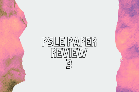 6C10 - PSLE Paper Review 3 (S6C10)