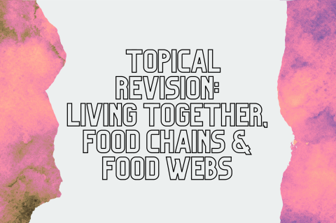 6D4 - Revision: Living Together, Food Chains & Webs (S6D4)