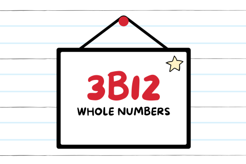3B12 - Whole Numbers (3B12)