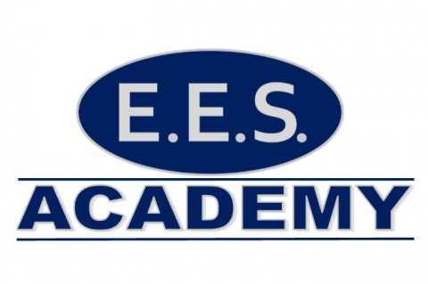 E.E.S. Workstation VDU Training