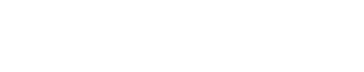 Shiresystem Template Example ShireSystem Document Manager Training
