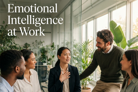 Emotional Intelligence at Work (EMW100)