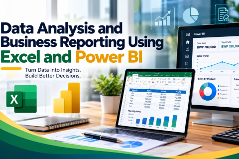 Data Analysis and Business Reporting Using Excel and Power BI