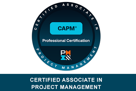 Project Management Professional (PMP®)