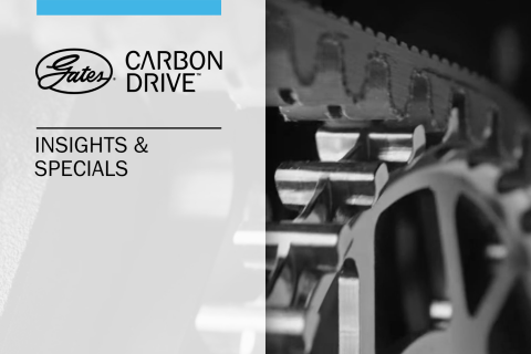 Insights & Specials (G-G4)