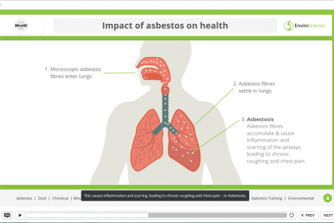 Asbestos Awareness Training - Sample