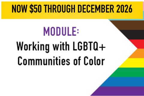 Working with LGBTQ+ Communities of Color