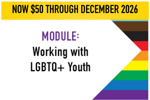 Working with LGBTQ+ Youth