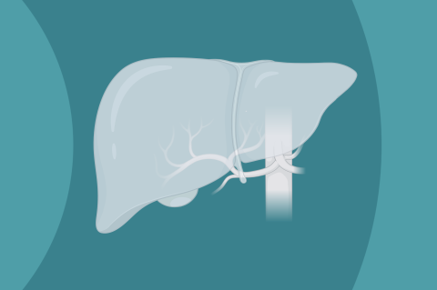 Hepatic Impairment (P06-12) Hepatic Impairment (P06-12)