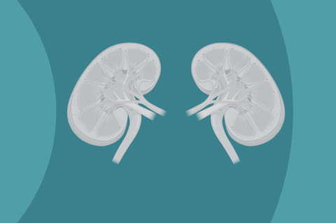 Renal Impairment (P07-11)