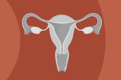 Female Reproductive Tract (M05-12)