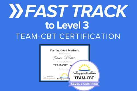 Fast Track to Level 3 TEAM-CBT Certification Winter 2026 (CS000)