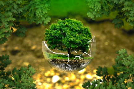 Aligning ESG Investments - 1 CPD hour