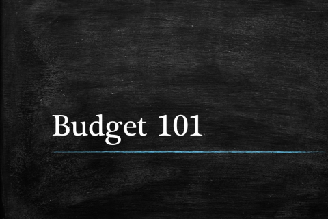 Budget Management 101