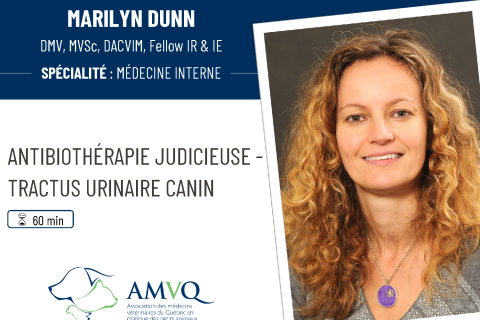 Antibiothérapie judicieuse – Tractus urinaire canin (2023-FÉV-05)