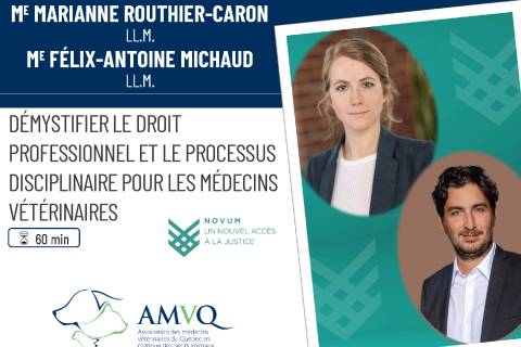 Démystifier le droit professionnel et le processus disciplinaire pour les médecins vétérinaires (2023-JUIN-15)