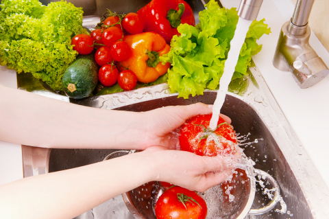Food Safety (SAFEFdorst)