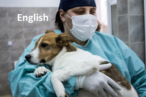 CNVR (Catch-Neuter-Vaccinate-Return) Online Course (SAC-01)