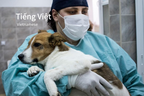 Khóa học trực tuyến CNVR (Bắt, Triệt sản, Tiêm phòng & Tái thả) (Vi) (SAC-03)