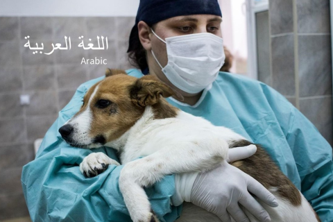 دورة تدريبية CNVR (AR) (SAC-08)