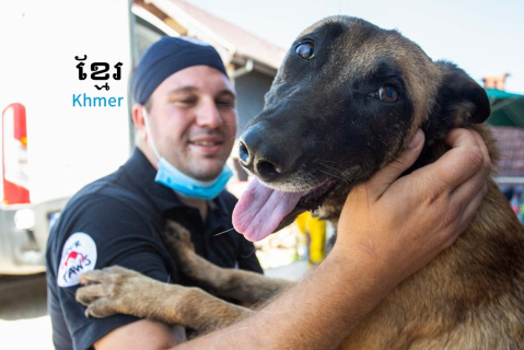 វគ្គសិក្សា CNVR (ការចាប់ ការគ្រៀវ ការចាក់វ៉ាក់សាំង ការបញ្ជូនត្រឡប់មកវិញ) (SAC07)