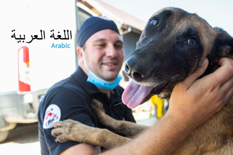 دورة تدريبية CNVR (AR) (SAC-08)