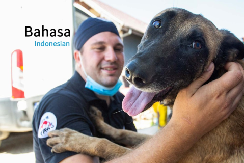 Kursus CNVR (Tangkap, Sterilkan, Vaksinasi, dan Kembalikan) (SAC-02)