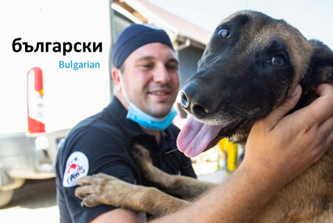 Eлектронния курс на за грижа за бездомни животни „Кастрирай и върни“ (SAC-05)