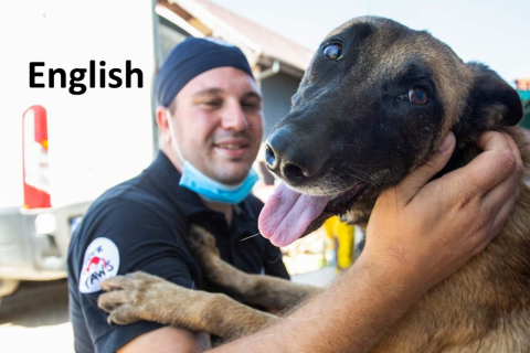 CNVR (Catch-Neuter-Vaccinate-Return) Online Course (SAC-01)