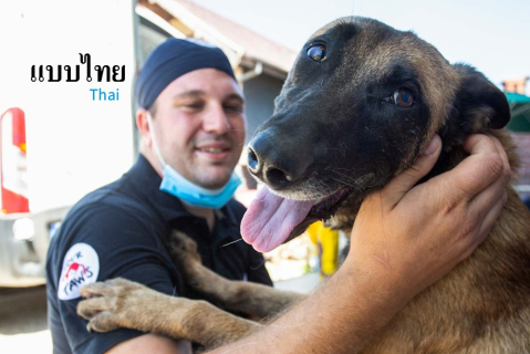 หลักสูตรการเรียนรู้ออนไลน์ CNVR (จับ ทำหมัน ฉีดวัคซีน และปล่อย) (SAC04)