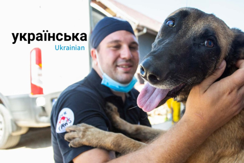 Електронний курс CNVR (Відлов, Кастрація, Вакцинація, Повернення) (SAC06)