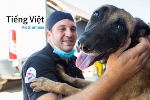 Khóa học trực tuyến CNVR (Bắt, Triệt sản, Tiêm phòng & Tái thả) (Vi) (SAC-03)